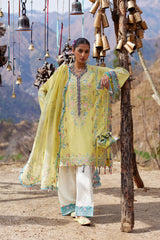 Zaha Lawn-D1 A RUÌMĚI