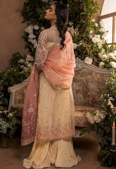 Nikhaar Festive Formal