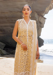 ZC Chikankari Luxury -MOTIA-7B