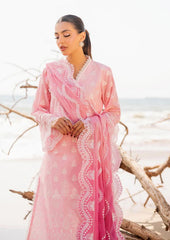 ZC Chikankari Luxury -AMYRA-8B