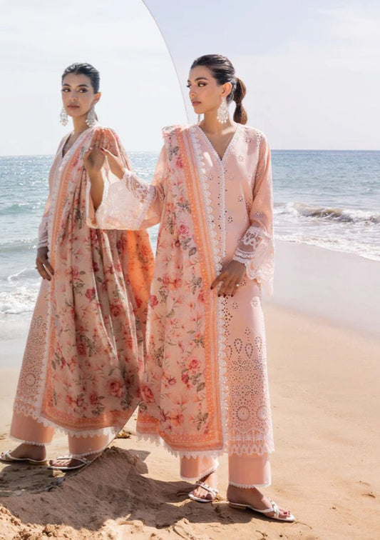 ZC Chikankari Luxury -NORA - 2A