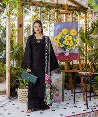 E Craft Chikankari Chiffon Dupatt-EEC-2A