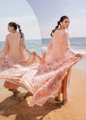 ZC Chikankari Luxury -NORA - 2A