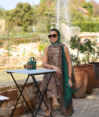 Noor Luxe Chikankaari-D2A