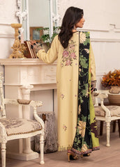 Roheenaz Meraki Winter-RNZ-02A