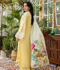 E Craft Chikankari Chiffon Dupatt-EEC-2B