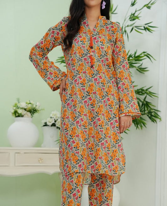 Aizal Ready To Wear Co-Ords Print-D02