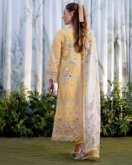 Shezlin Chikankari Edit-D02