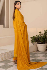 Aanchal Emb Dhanak