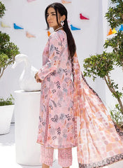 Coco Popup Lawn- D02