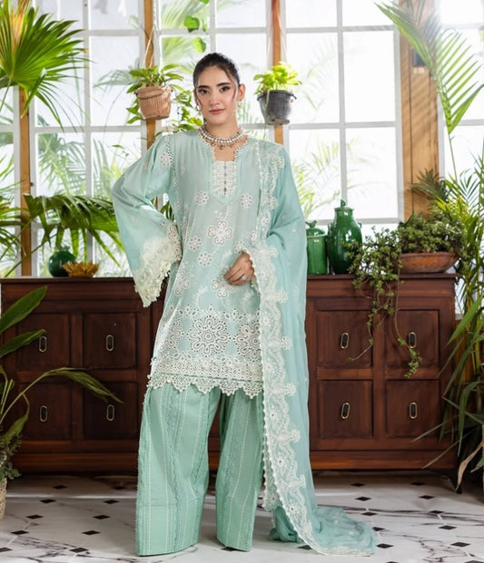 E Craft Chikankari Chiffon Dupatt-EEC-3A