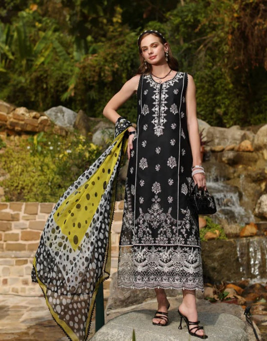 Noor Luxe Chikankaari-D3B