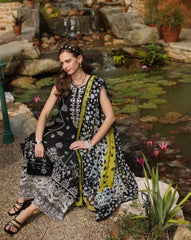 Noor Luxe Chikankaari-D3B