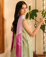 Roheenaz Aashiyana Emb Lawn-D03B