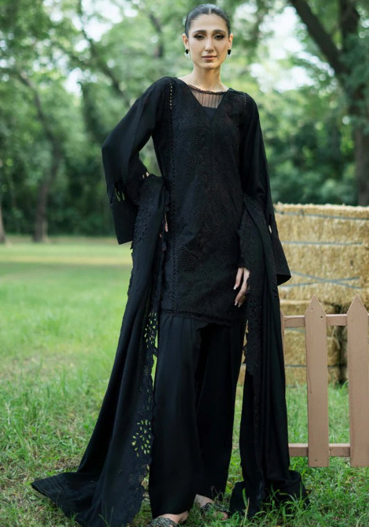 Zephyr Wool Collection-D03