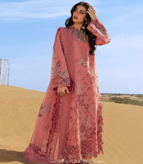 Rang Rasiya Premium Collection-AMANI