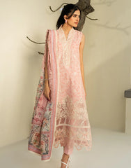 F&F Prints Lawn-D03 SABINE