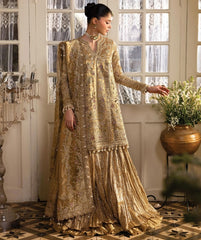 Afrozeh Dastangoi Festive-D03