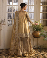 Afrozeh Dastangoi Festive-D03