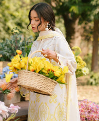 Parishay Ivy Bloom Lawn-D03