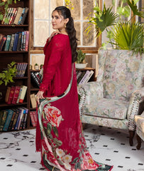 E Craft Chikankari Chiffon Dupatt-EEC-4A