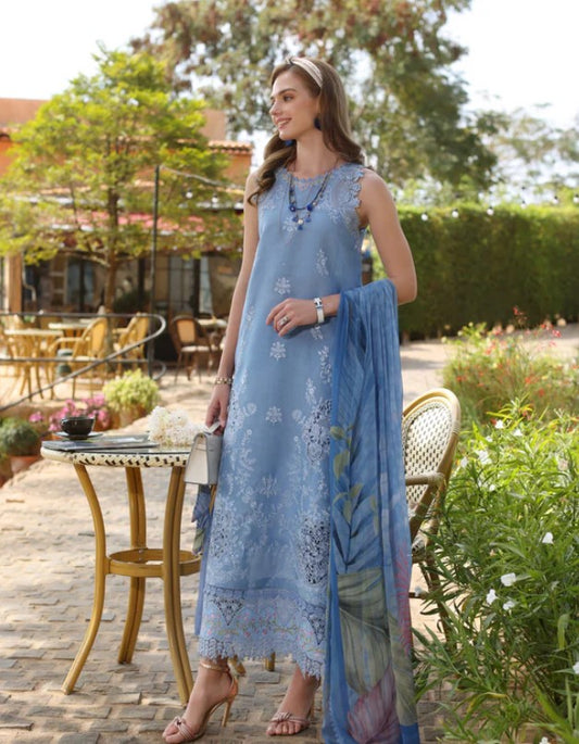 Noor Luxe Chikankaari-D4B