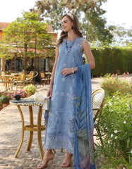 Noor Luxe Chikankaari-D4B