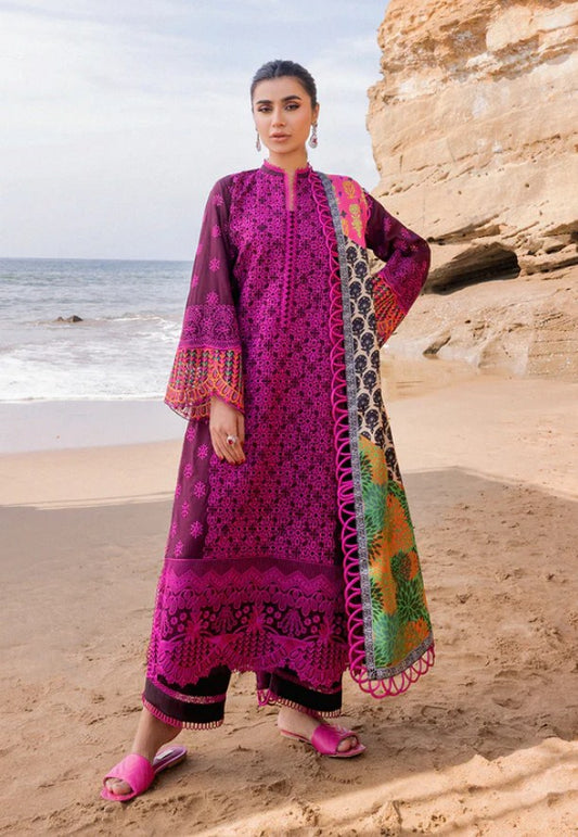 ZC Chikankari Luxury -NAYSA-4B