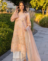 RangRasiya Carnation Summer Edit-D04