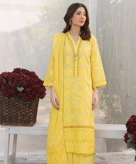 Abisha Dil E Momin Emb Lawn-D04
