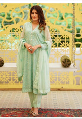 Ameerzadi Luxury Formals-D14