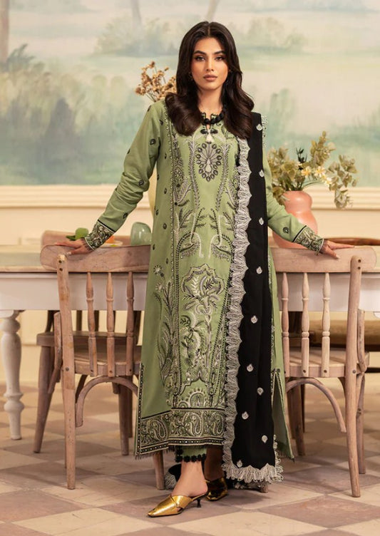 Roheenaz Meraki Winter-RNZ-04A