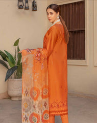 Aalaya Naveli Emb Boring Lawn-D04