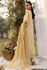 Noor e Chasham Lawn-D-04