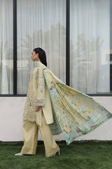 Qalamkar Qline Lawn Drop II-QKL-11