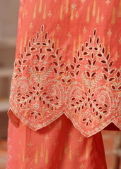 Aiza Momina Chikankari-D-54