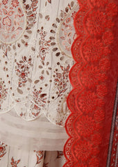 Aiza Momina Chikankari-D-56