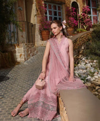 Noor Luxe Chikankaari-D5A