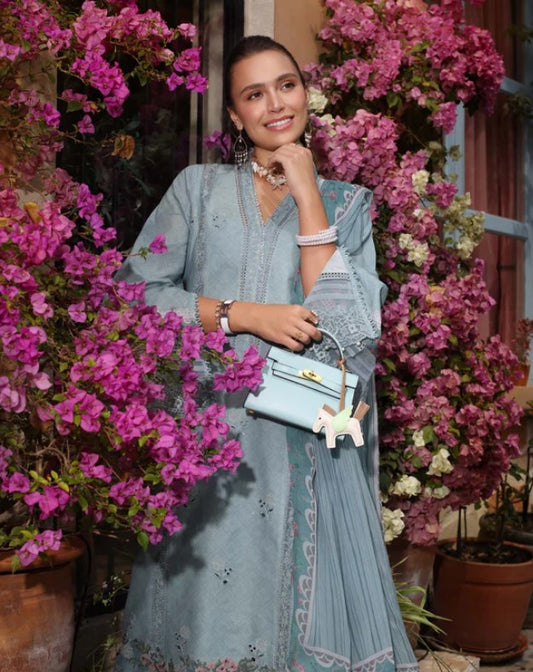 Noor Luxe Chikankaari-D5B