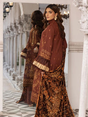 Aalaya Andaaz Dhanak-D04