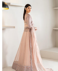 Alizeh Formals-AF-CH-2187-NISA