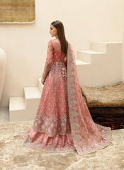 Afrozeh Shehnai Wedding-D05