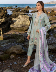 Flow By Crimson-D6 A