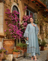 Noor Luxe Chikankaari-D5B