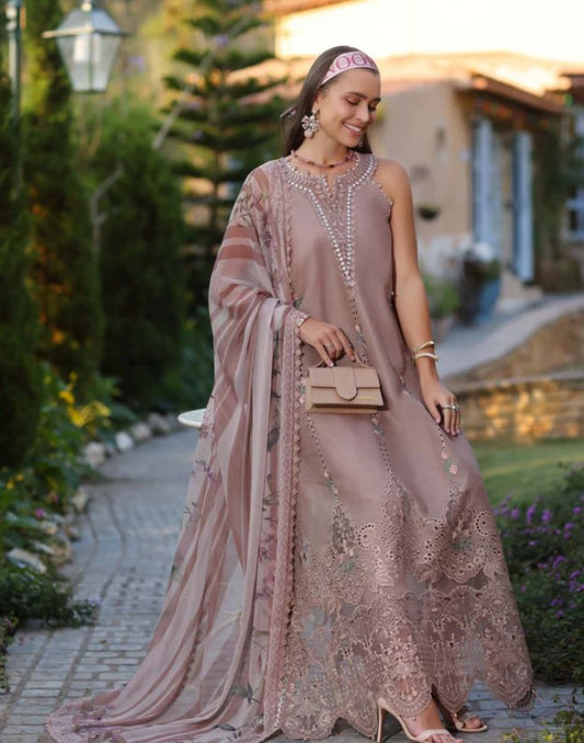 Noor Luxe Chikankaari-D6B