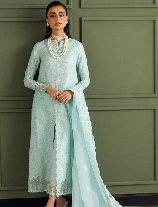 Qalamkar Chikankari Edit-CS-06