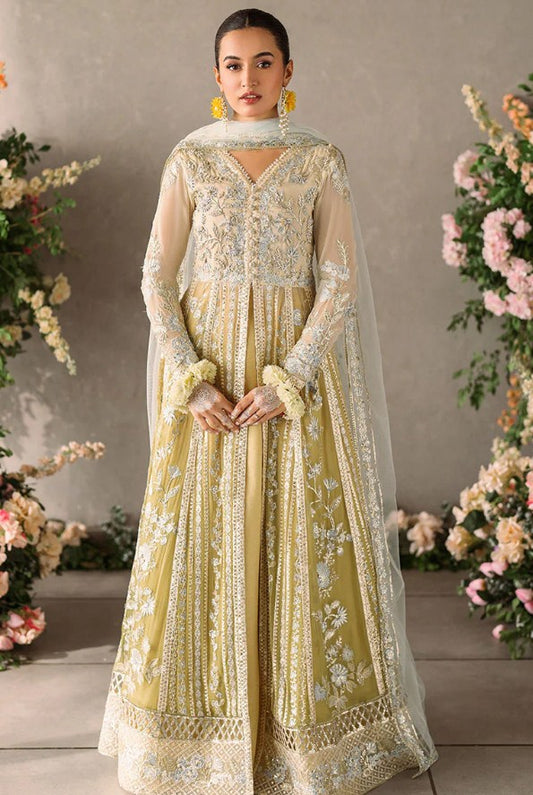 Mushq Mastani Evening Chiffon-D06