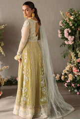 Mushq Mastani Evening Chiffon-D06