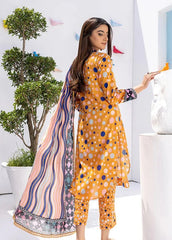 Coco Popup Lawn- D03