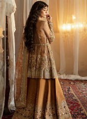 Afrozeh Hayat Wedding-D06